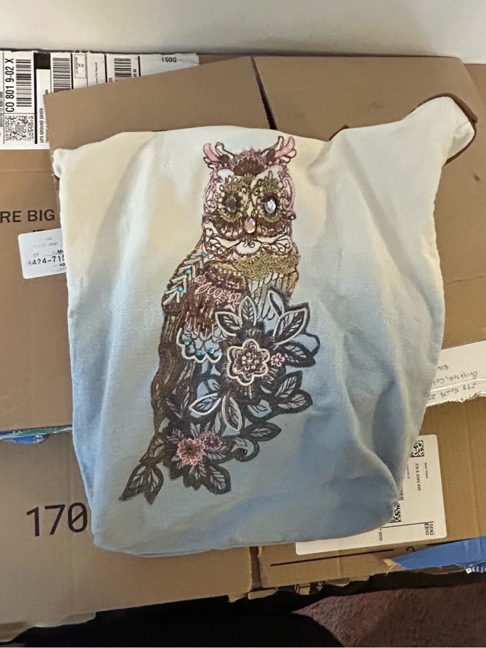 Embroidered Owl Accent Bag in Cream and Light Blue Ombre
